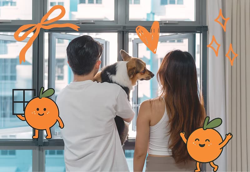 KEEP YOUR FUR-KIDS SAFE