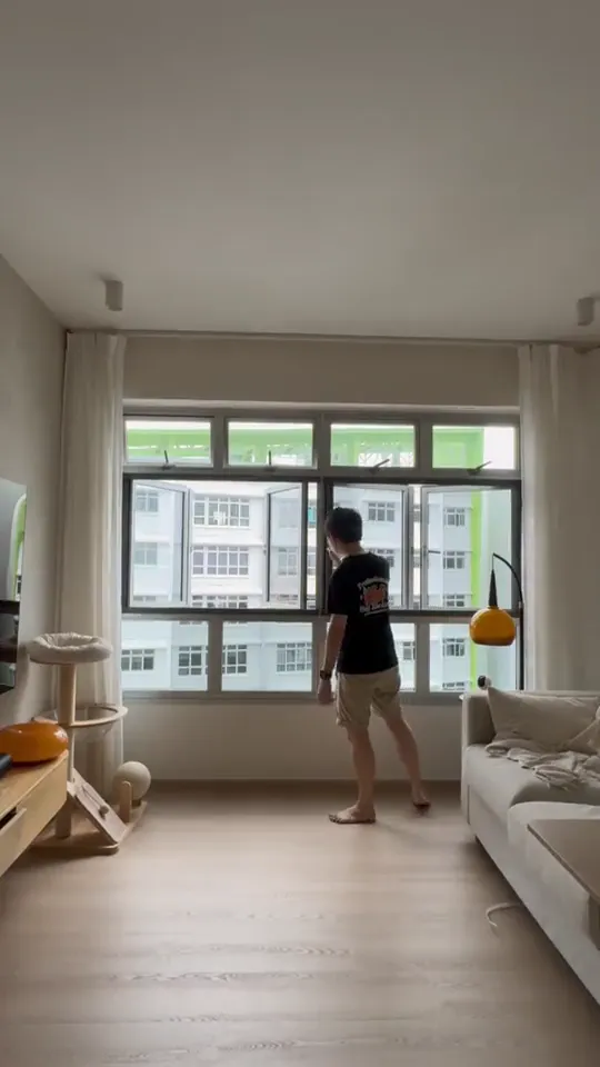Homeowner inspecting insect mesh fitted across a living room window beside cat furniture